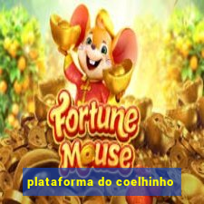 plataforma do coelhinho